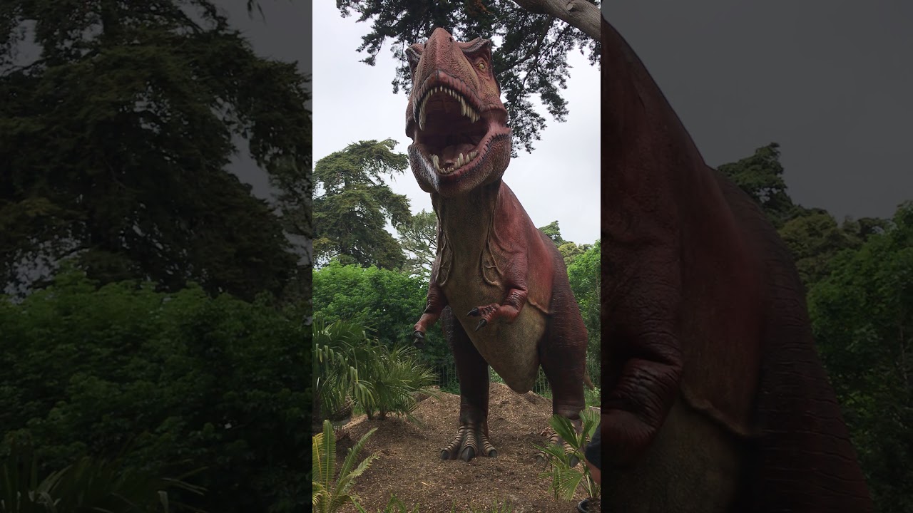 Academy Dinosaur