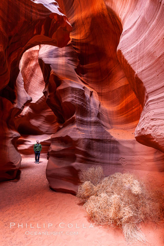 Canyon Stock