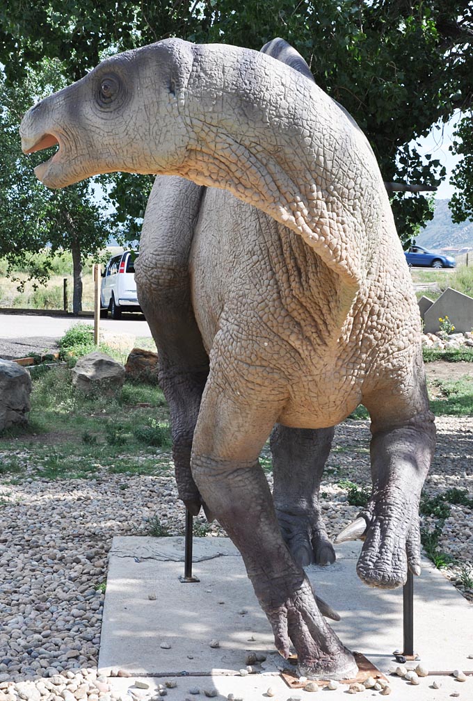 Center Dinosaur
