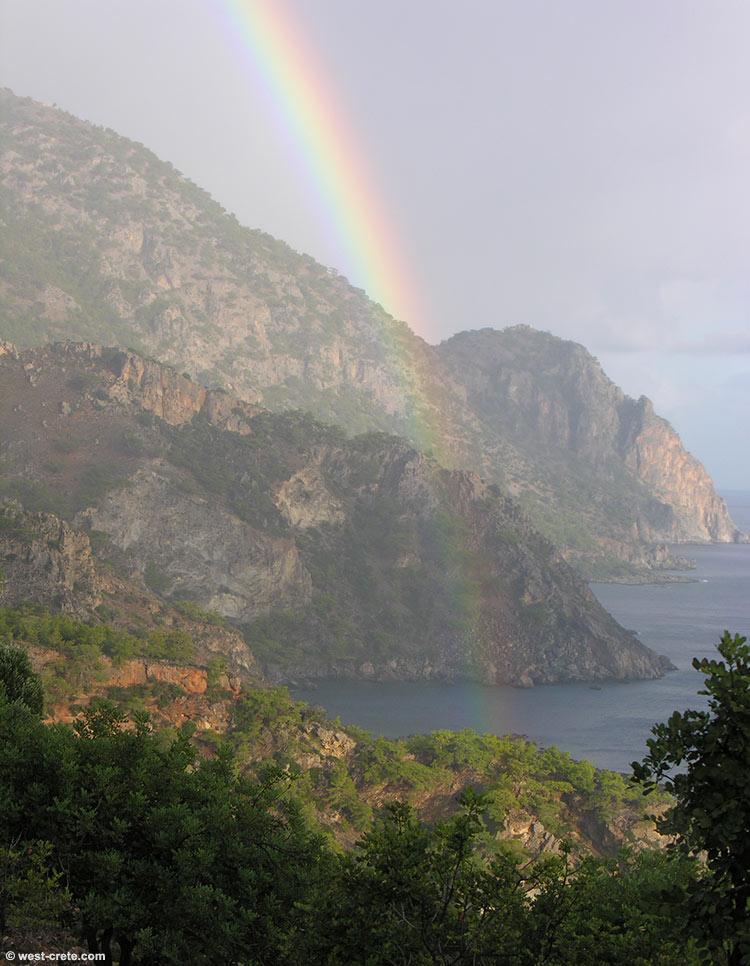 Coast Rainbow