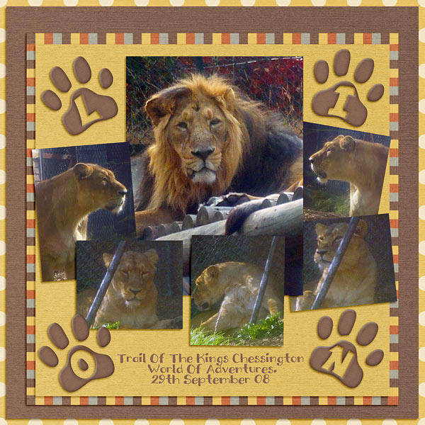 Dozen Lion