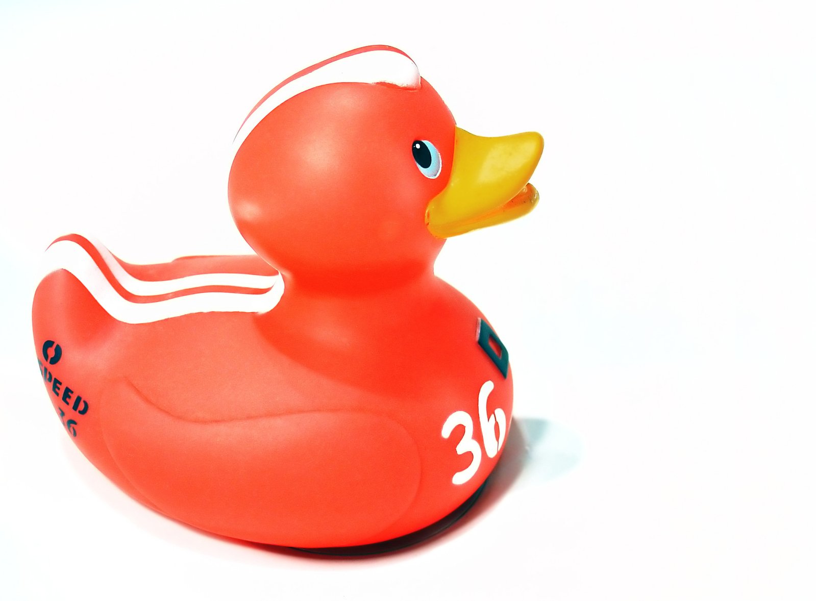 Duck Racer