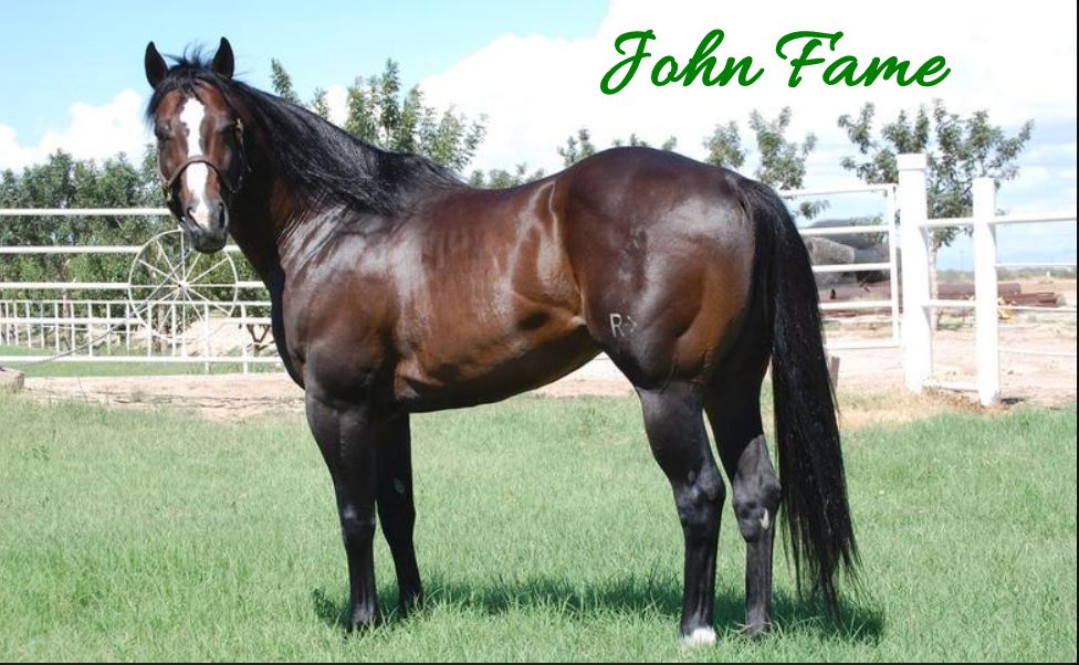 Expendable Stallion