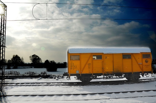 Express Lonely