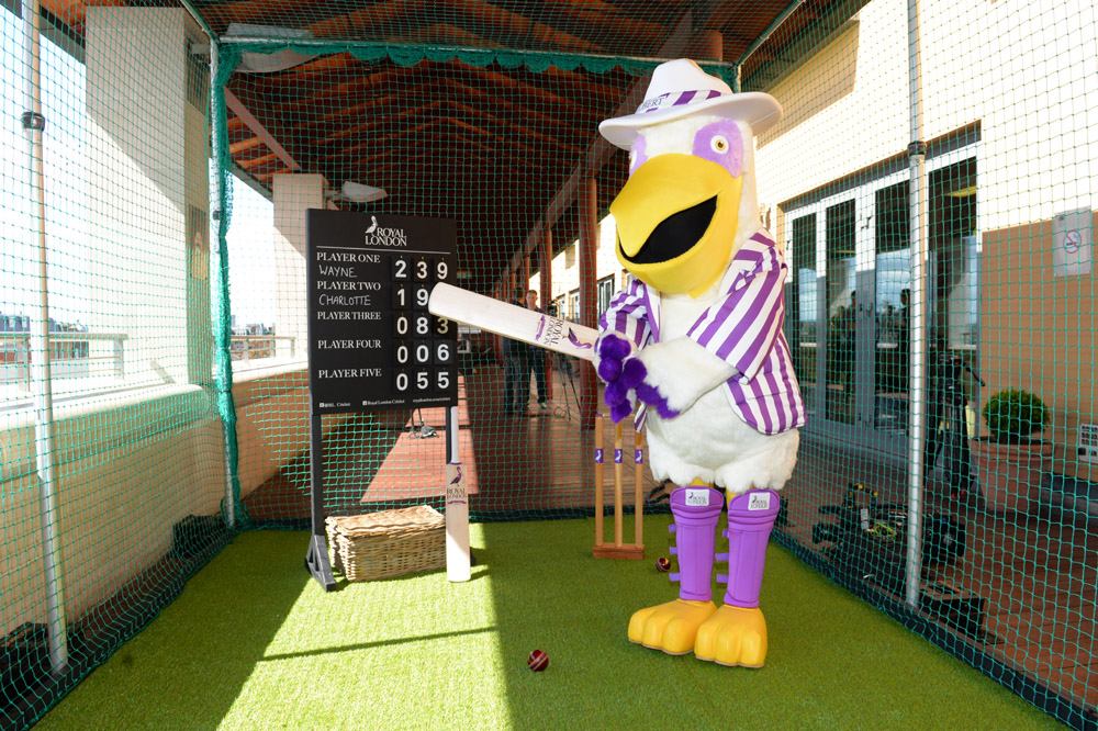 Gilbert Pelican