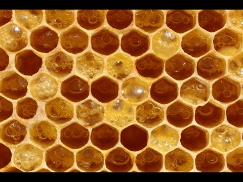Honey Ties
