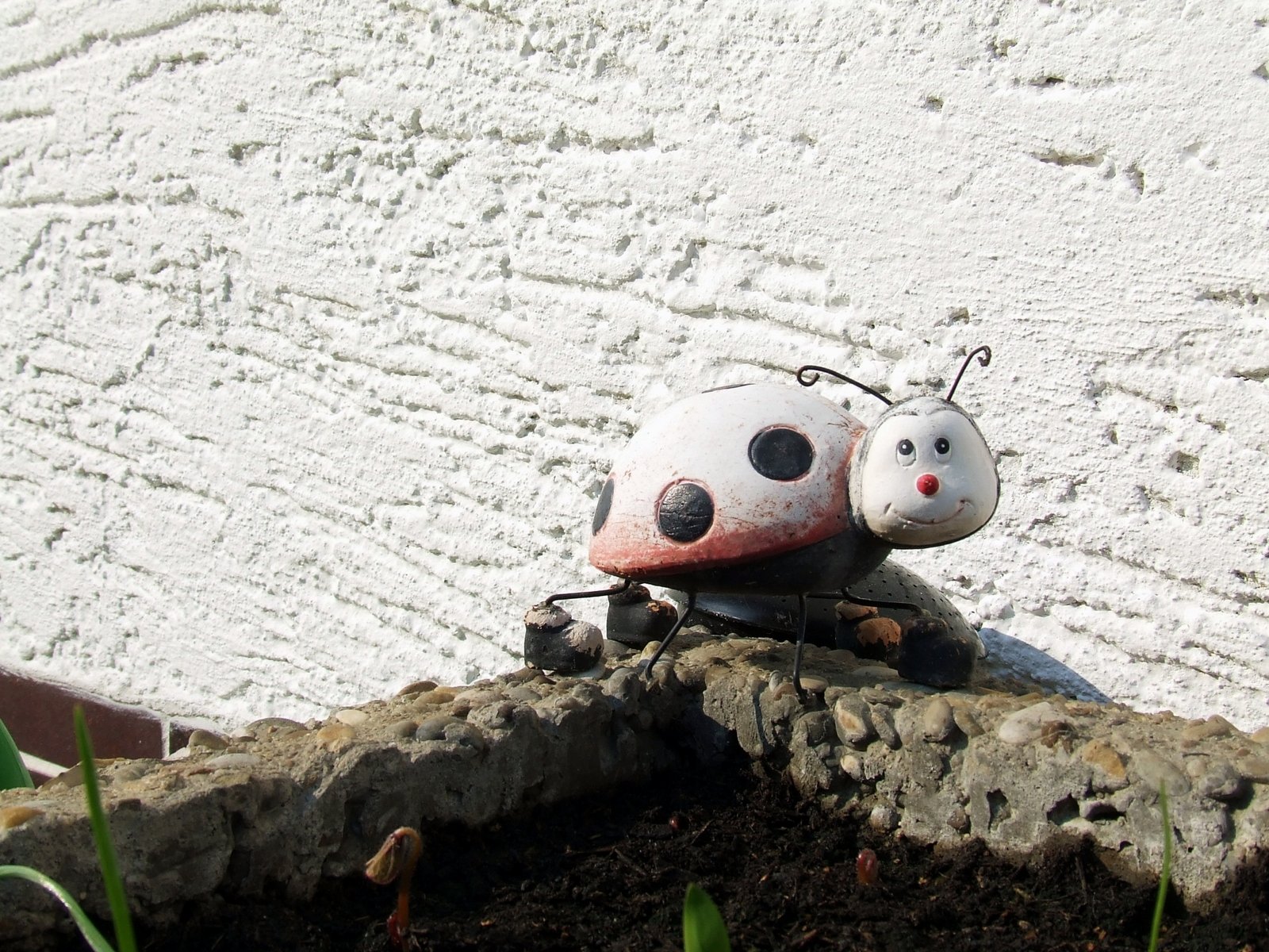 Insects Stone