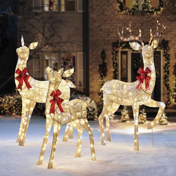Lights Deer