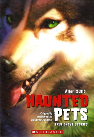 Pet Haunting
