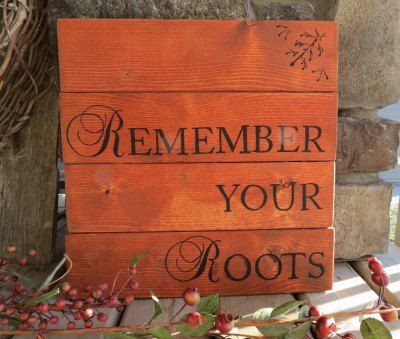 Roots Remember