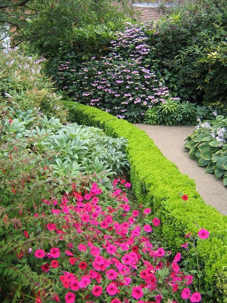 Vanished Garden