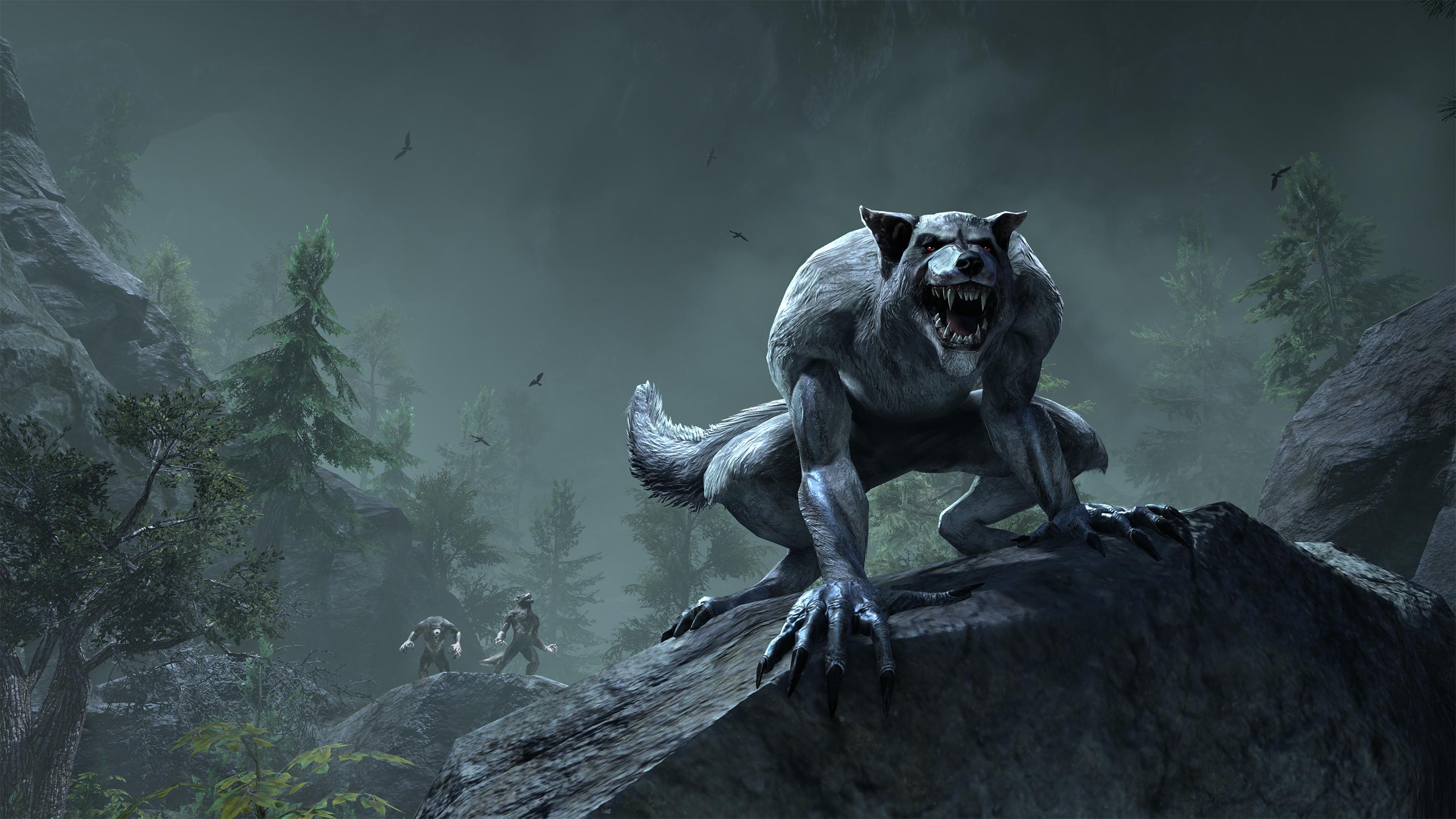 Warlock Werewolf