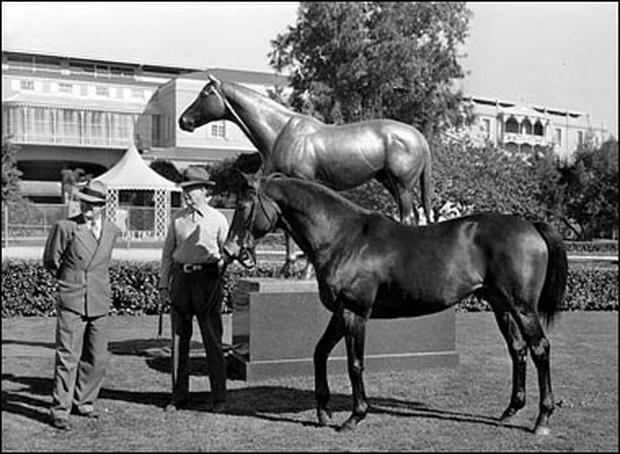 Westward Seabiscuit
